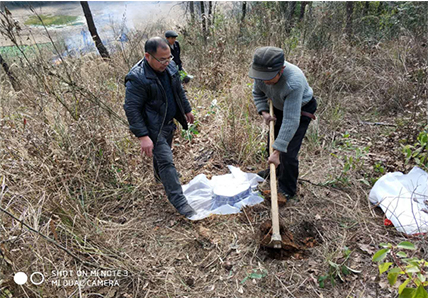 邵阳市大祥区积极做好林业有害生物防治工作